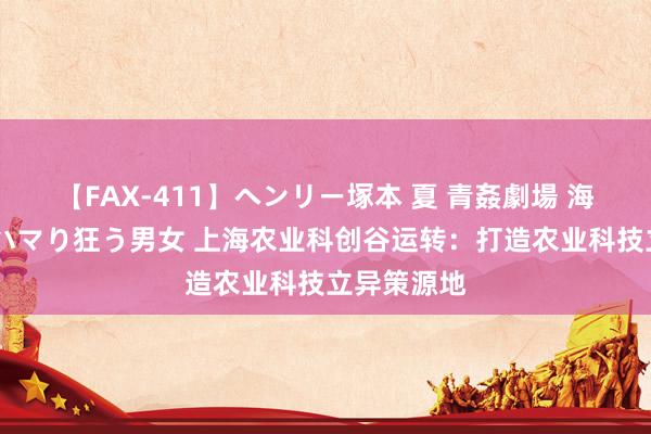 【FAX-411】ヘンリー塚本 夏 青姦劇場 海・山・川 ハマり狂う男女 上海农业科创谷运转：打造农业科技立异策源地