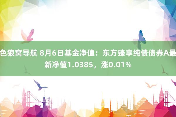 色狼窝导航 8月6日基金净值：东方臻享纯债债券A最新净值1.0385，涨0.01%