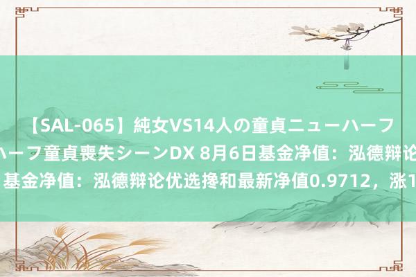 【SAL-065】純女VS14人の童貞ニューハーフ 二度と見れないニューハーフ童貞喪失シーンDX 8月6日基金净值：泓德辩论优选搀和最新净值0.9712，涨1.04%