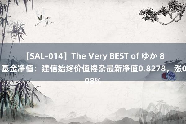 【SAL-014】The Very BEST of ゆか 8月7日基金净值：建信始终价值搀杂最新净值0.8278，涨0.08%