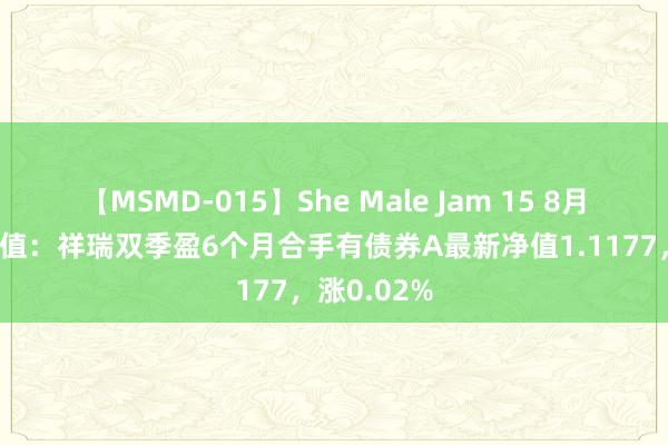 【MSMD-015】She Male Jam 15 8月7日基金净值：祥瑞双季盈6个月合手有债券A最新净值1.1177，涨0.02%