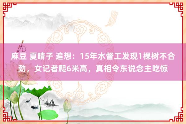 麻豆 夏晴子 追想：15年水督工发现1棵树不合劲，女记者爬6米高，真相令东说念主吃惊