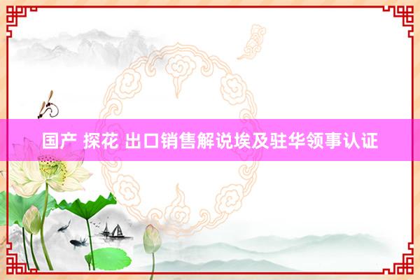 国产 探花 出口销售解说埃及驻华领事认证