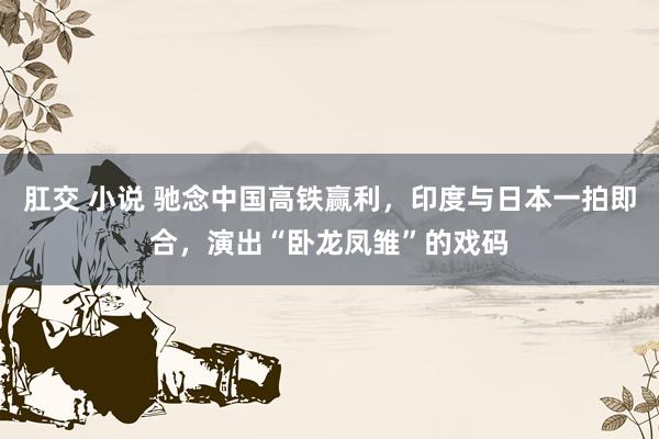 肛交 小说 驰念中国高铁赢利，印度与日本一拍即合，演出“卧龙凤雏”的戏码