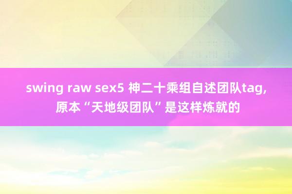 swing raw sex5 神二十乘组自述团队tag, 原本“天地级团队”是这样炼就的