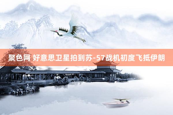聚色网 好意思卫星拍到苏-57战机初度飞抵伊朗