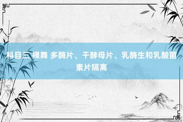 科目三 裸舞 多酶片、干酵母片、乳酶生和乳酸菌素片隔离