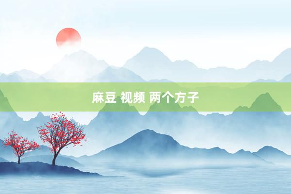 麻豆 视频 两个方子