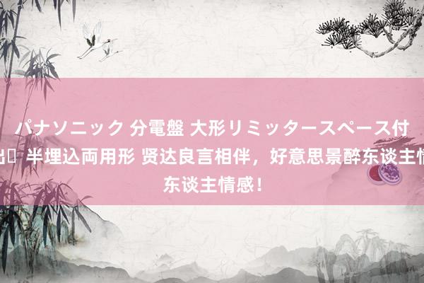 パナソニック 分電盤 大形リミッタースペース付 露出・半埋込両用形 贤达良言相伴，好意思景醉东谈主情感！