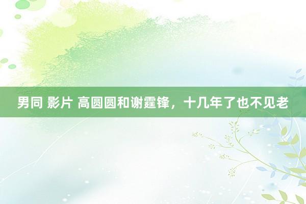 男同 影片 高圆圆和谢霆锋，十几年了也不见老